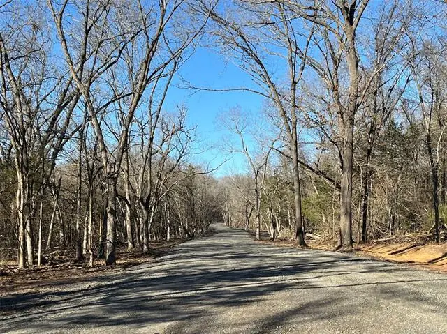 155 Tumbleweed Trail, Tishomingo, OK 73460 - #3