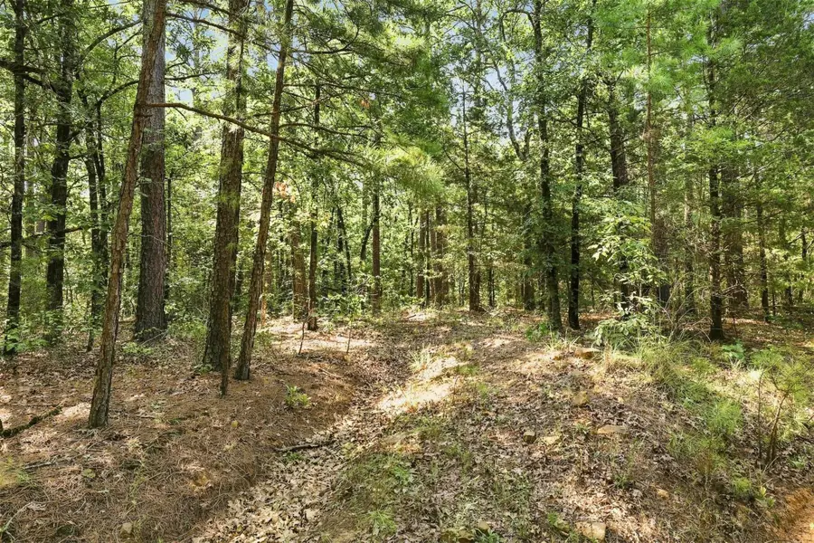 45 Buck Creek Road, Moyers, OK 74557 - #3