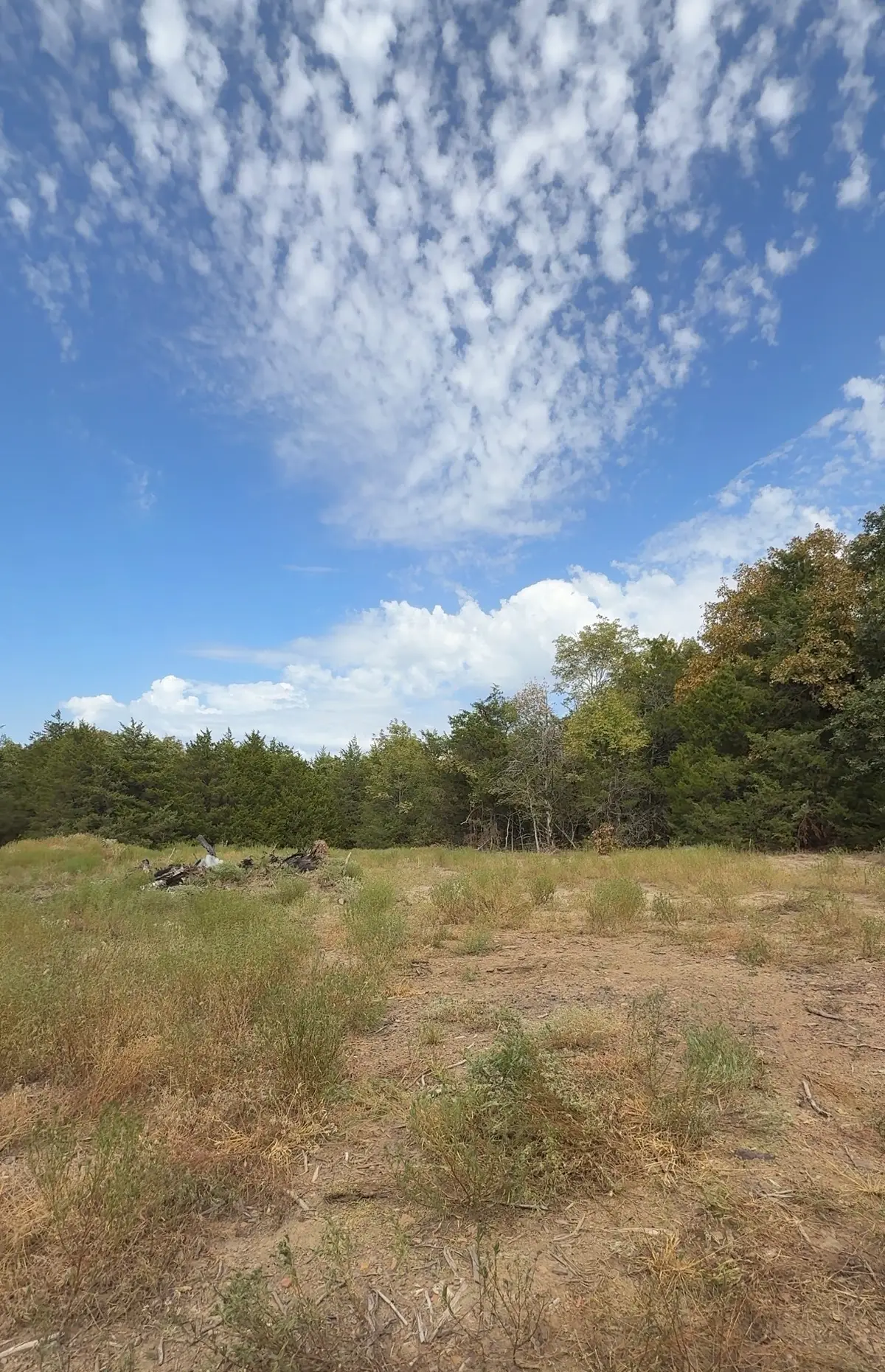 Yellow Bull Road, Indianola, OK 74442 - #1