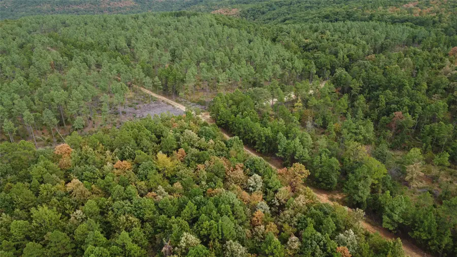 16508 Round Mountain Road, Howe, OK 74940 - #3