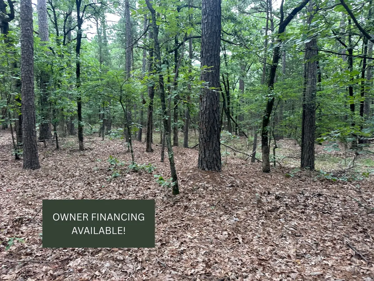 001 Johns Valley Road, Moyers, OK 74557 - #1