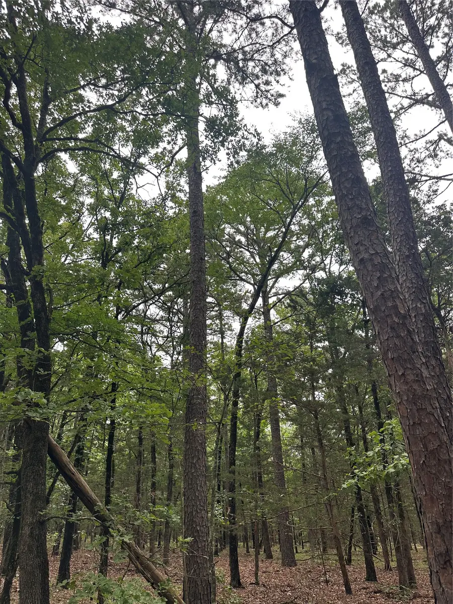 001 Johns Valley Road, Moyers, OK 74557 - #3