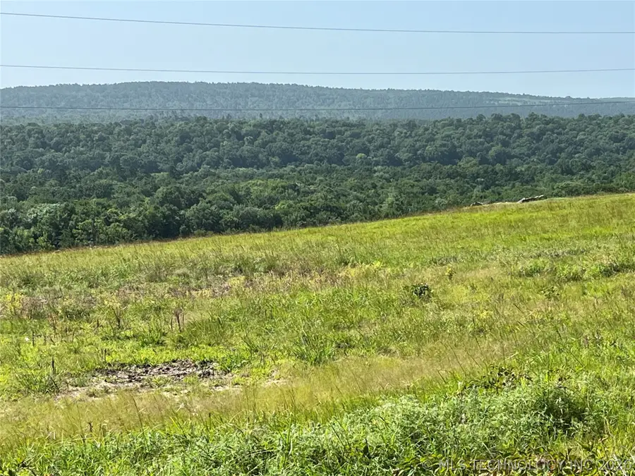 Bill Ward Road, East Coal, OK 74535 - #3
