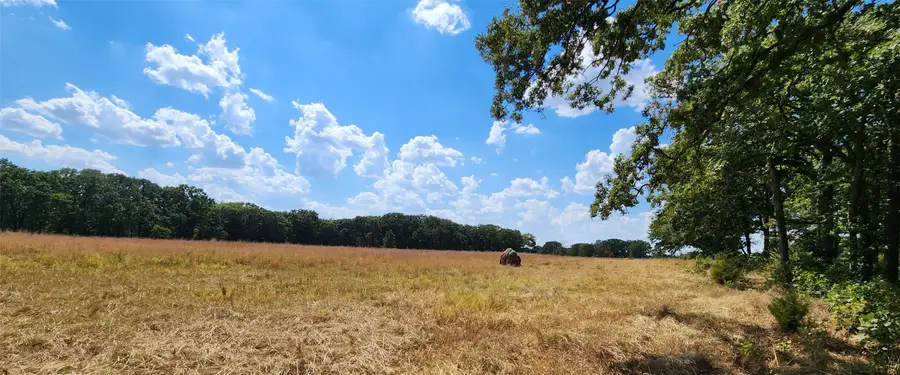 Arnett Road, Bokchito, OK 74726 - #2