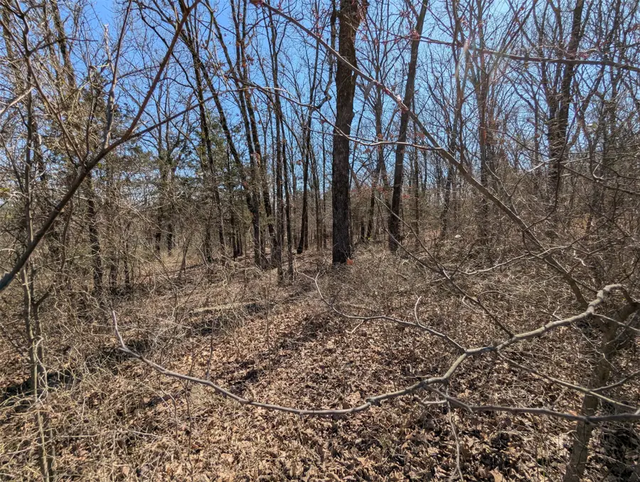 Woodward Circle, Gore, OK 74435 - #2