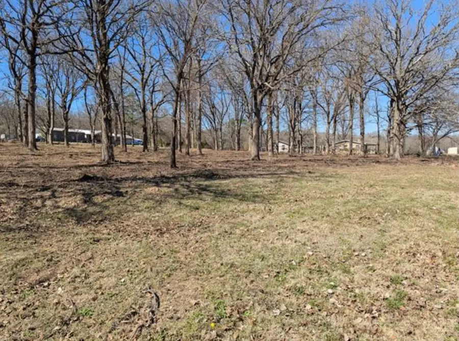 100 Highway, Gore, OK 74435 - #2
