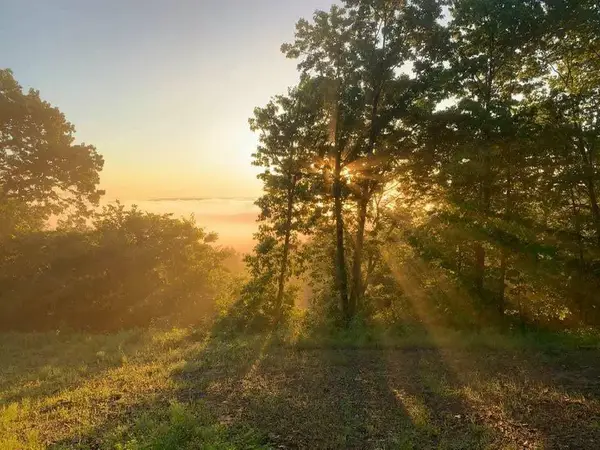 Lookout Road, Stigler, OK 74462
