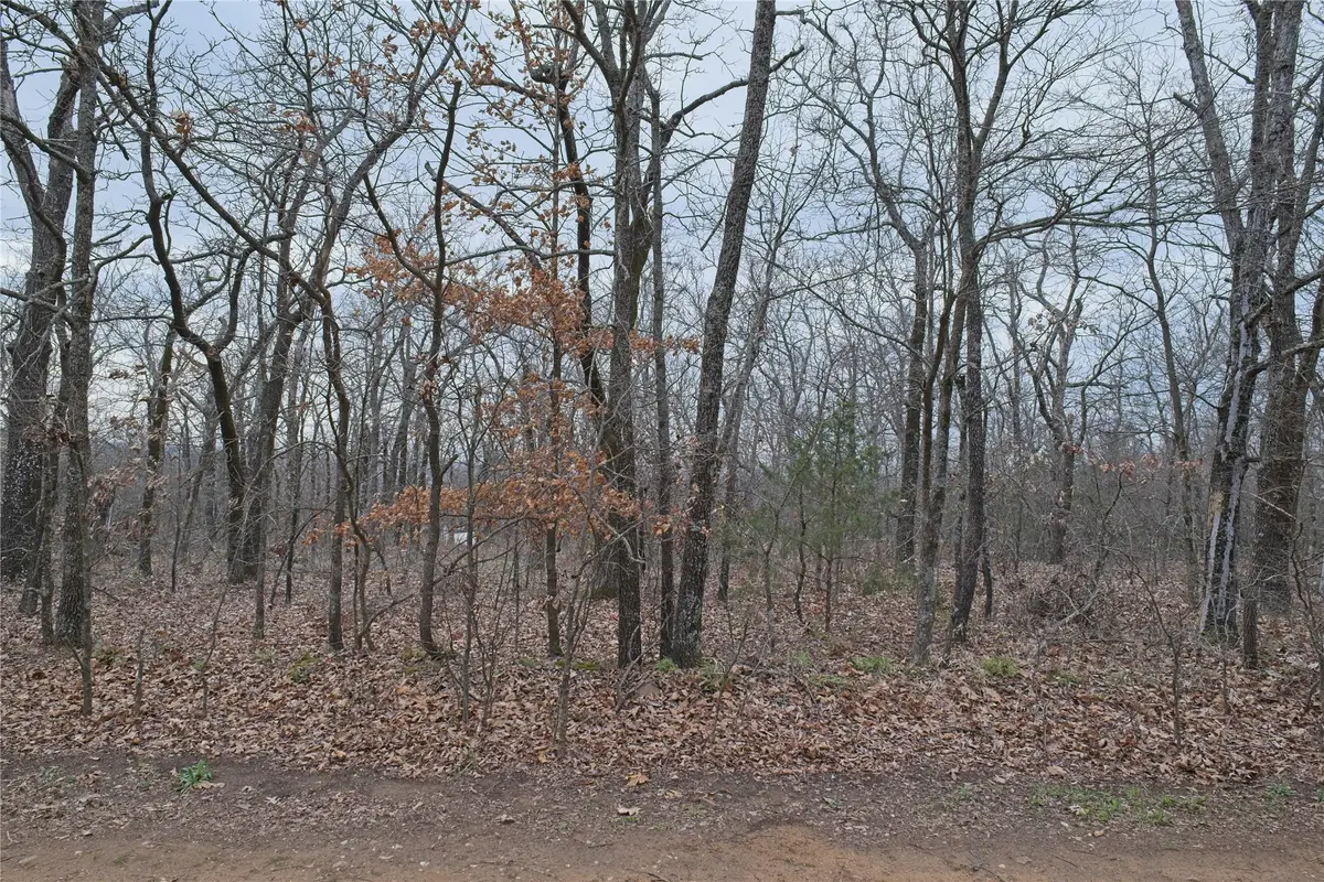 S 4547 Drive, Vian, OK 74962 - #1