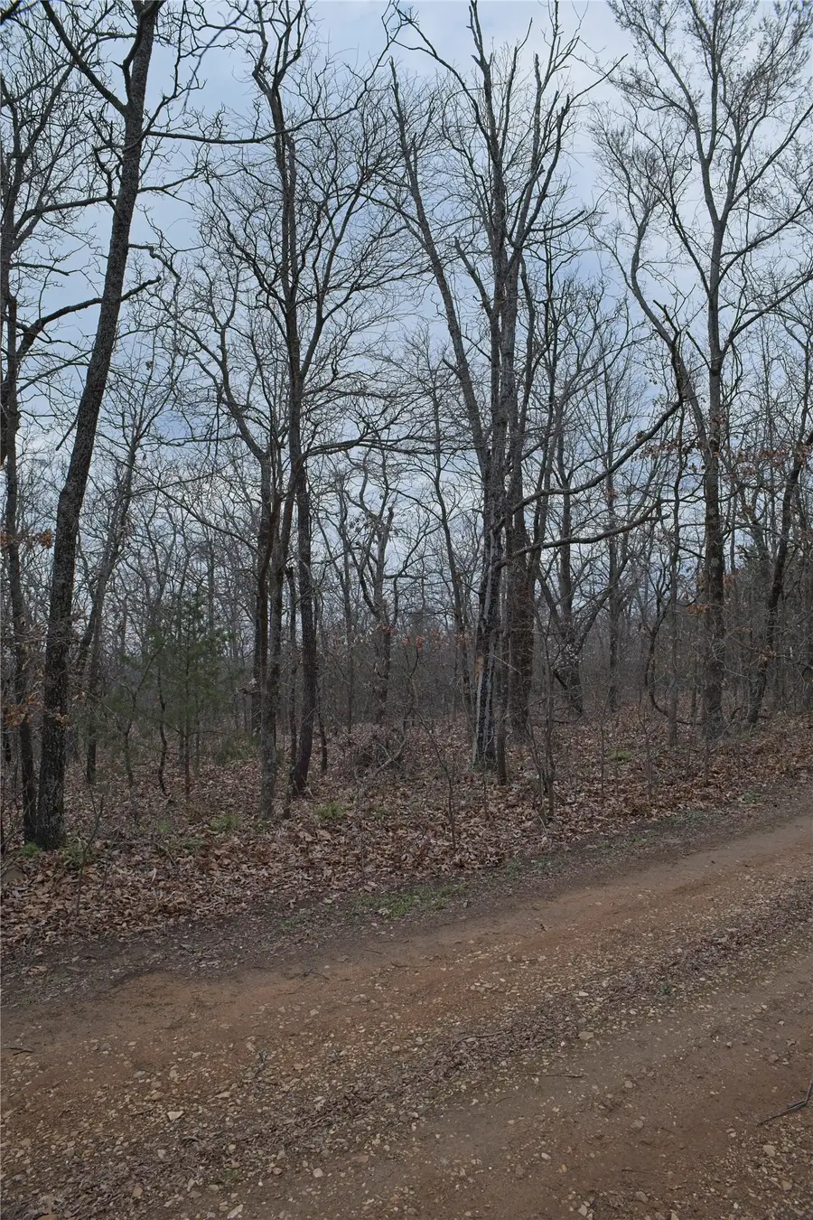 S 4547 Drive, Vian, OK 74962 - #3