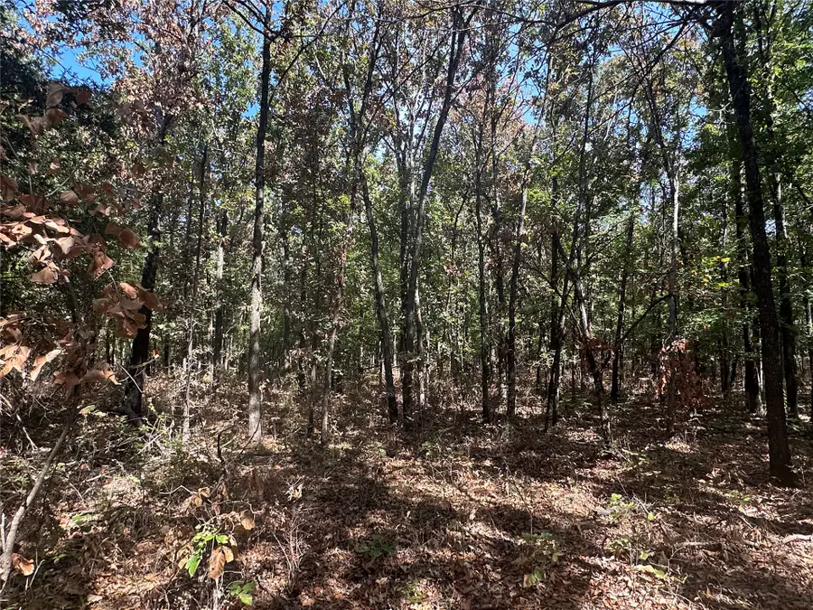 4300 Road, Big Cabin, OK 74332 - #3