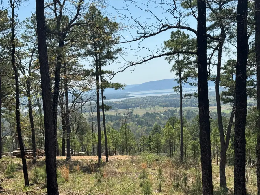 41 Timber Ridge Road, Tuskahoma, OK 74574 - #3