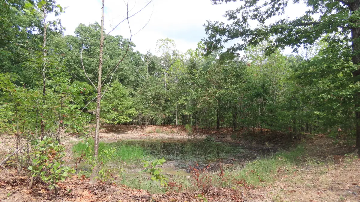 Old Toll Gate Road, Oaks, OK 74359 - #1