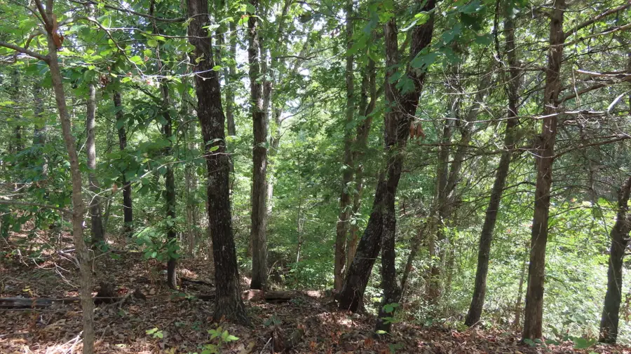 Old Toll Gate Road, Oaks, OK 74359 - #3