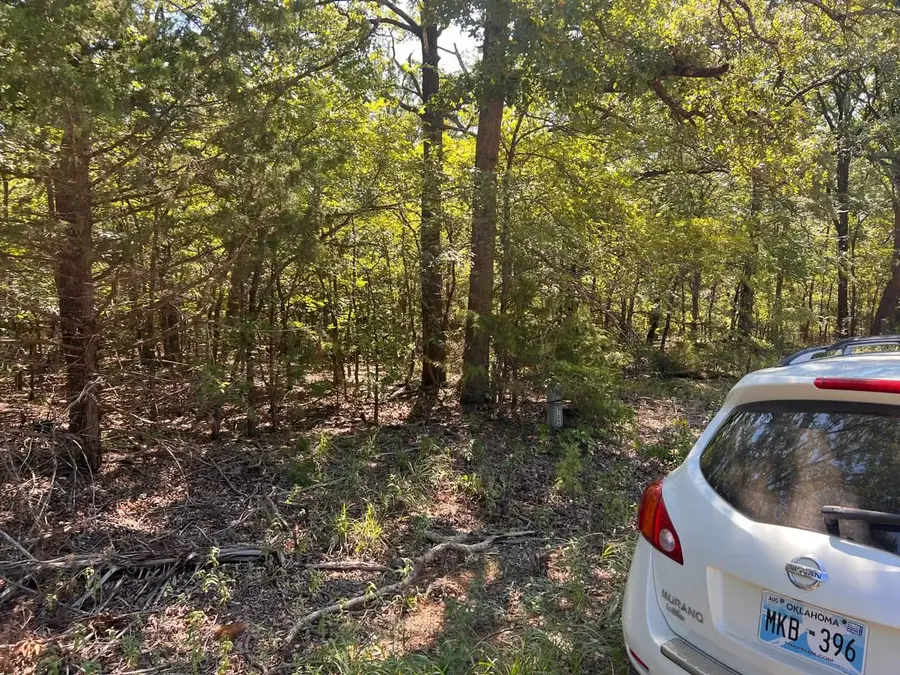 000 Dogwood Lane, Mead, OK 73449 - #2