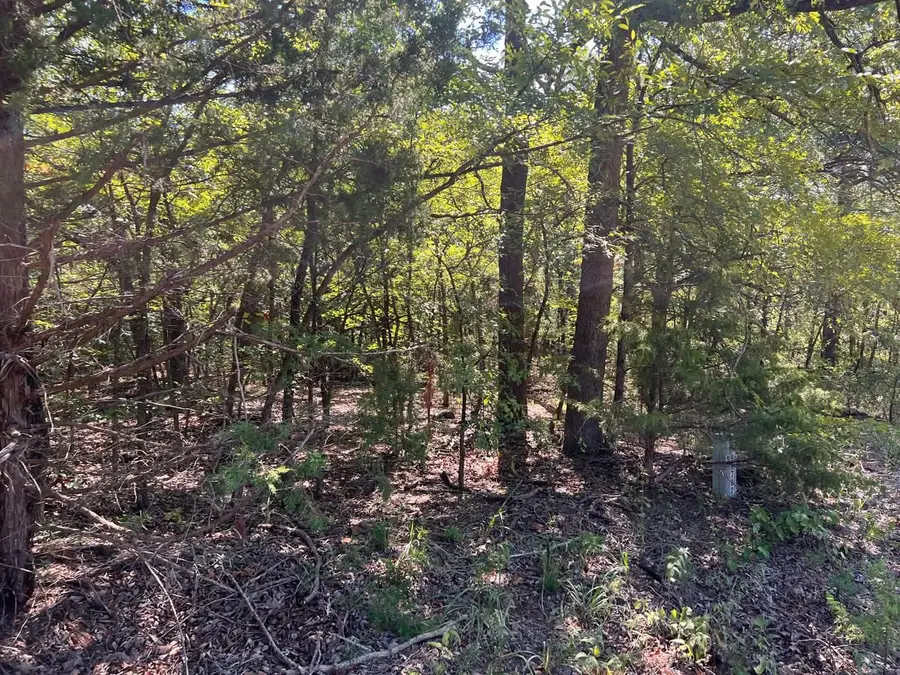 000 Dogwood Lane, Mead, OK 73449 - #3