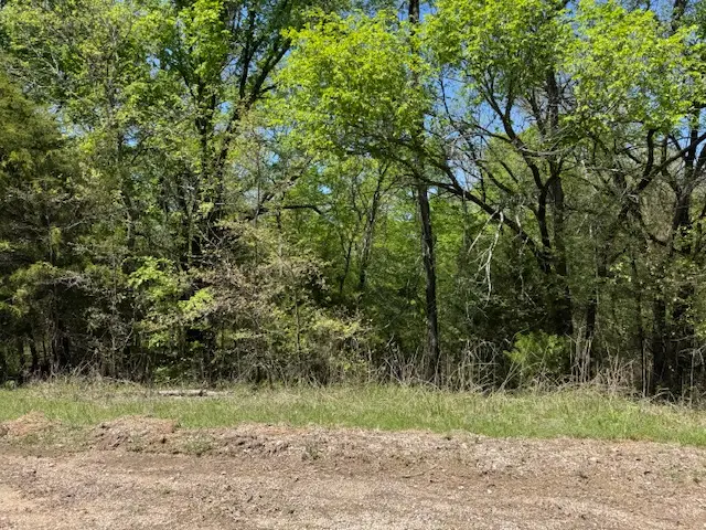 0 Falconhead, Burneyville, OK 73430 - #1