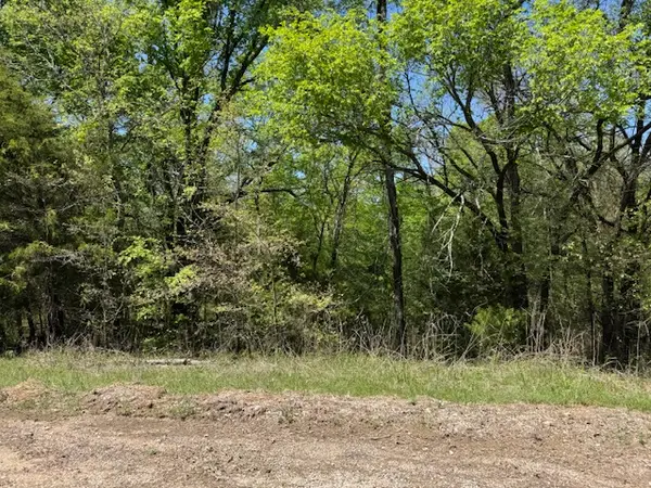 0 Falconhead, Burneyville, OK 73430