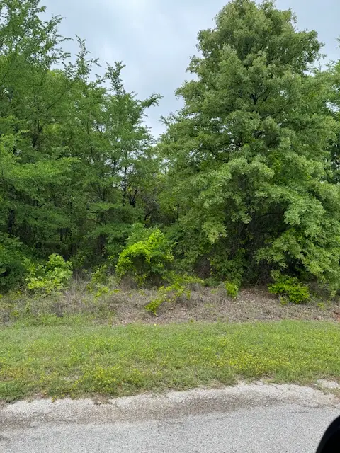 0 Falconhead, Burneyville, OK 73430 - #2