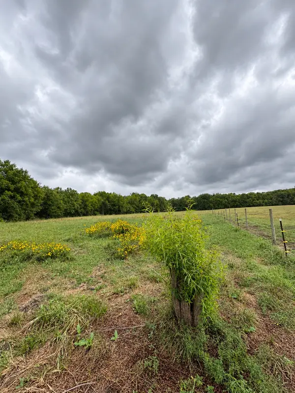 9204 N Lewis Avenue, Sperry, OK 74073