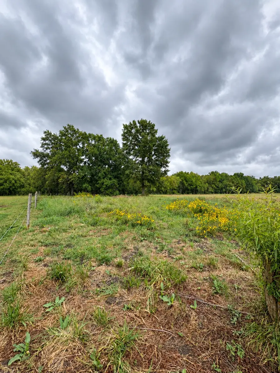 9204 N Lewis Avenue, Sperry, OK 74073 - #2