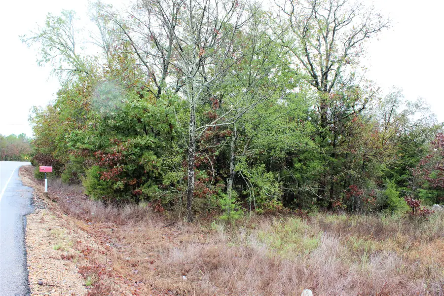 271 E 1931 Road, Rattan, OK 74562 - #3