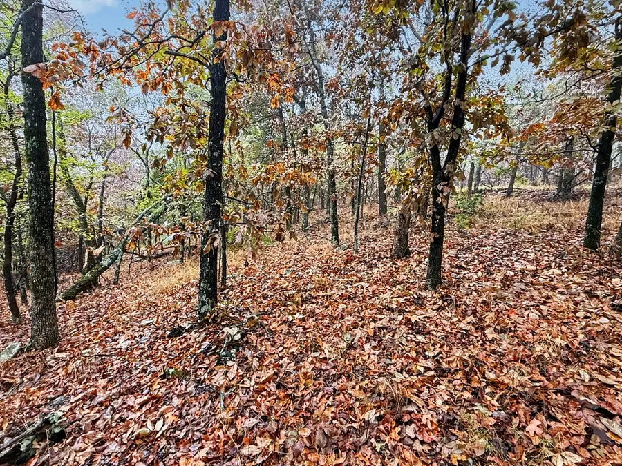 S 4545 Loop, Vian, OK 74962 - #2