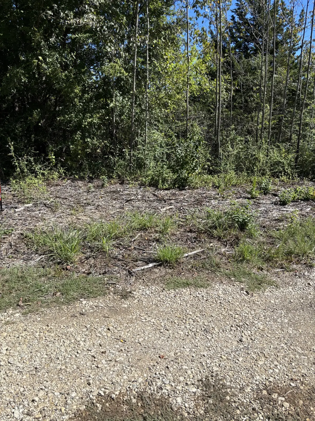 Susie Avenue, Kingston, OK 73439 - #1