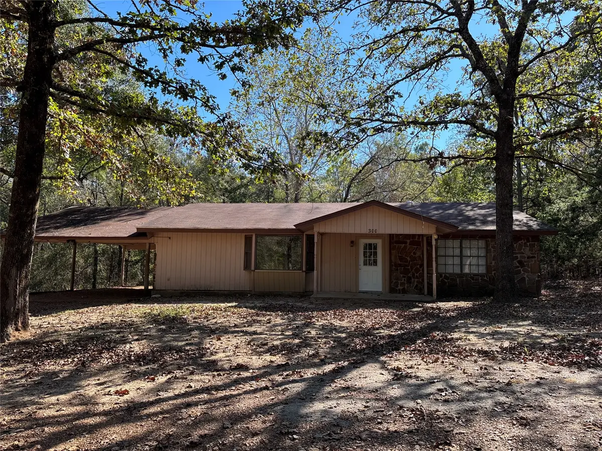 300 NE 14th Street, Antlers, OK 74523 - #1