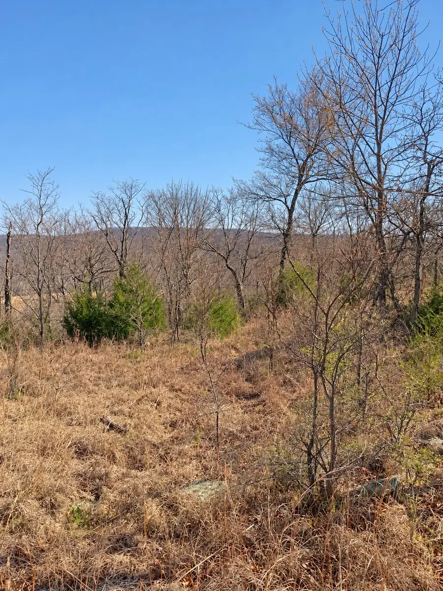 000 966 Road, Vian, OK 74962 - #2