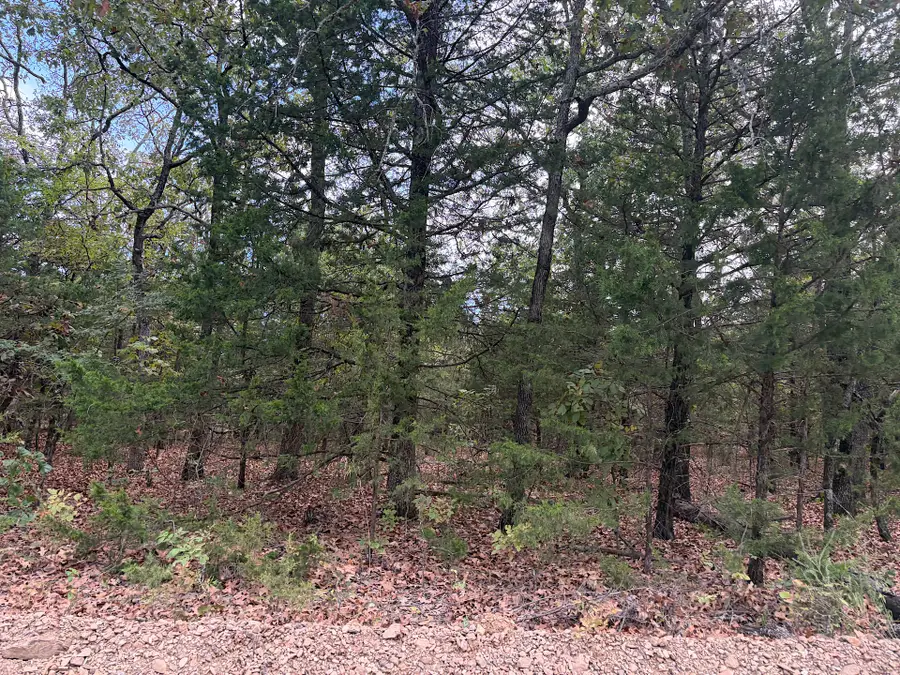 S 4485 Road, Gore, OK 74435 - #2