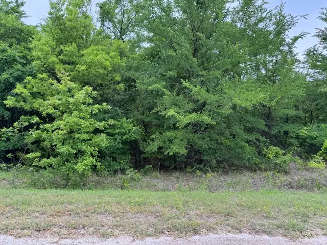 Tuscon Street, Burneyville, OK 73430 - #3