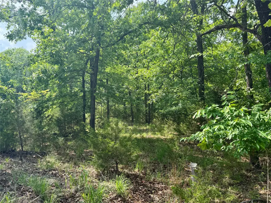 Address Withheld By Seller, Canadian, OK 74425 - #3