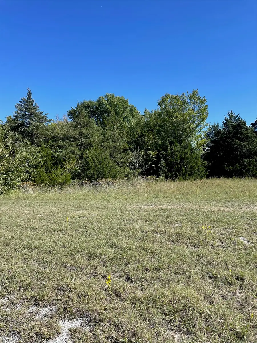 Bonnell Road, Burneyville, OK 73430 - #3