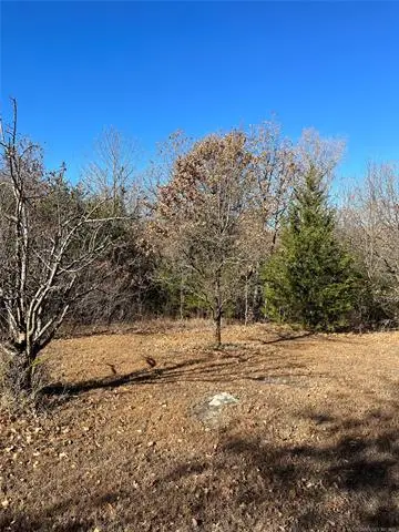 1166 N Oak Lane, Cleveland, OK 74020 - #2