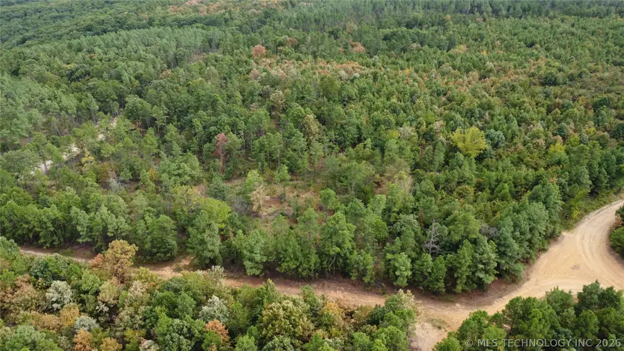 16508 Round Mtn, Howe, OK 74940 - #2