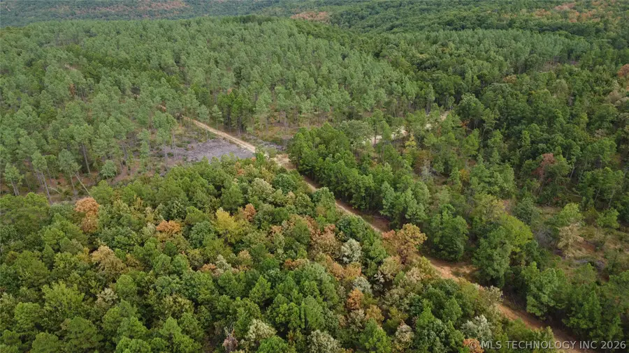16508 Round Mtn, Howe, OK 74940 - #3