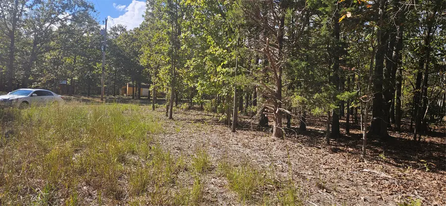 Nakedhead Ridge Road, Proctor, OK 74457 - #2