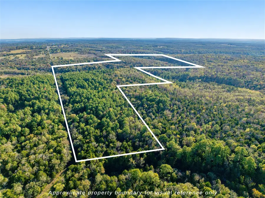 113 S 4510 Road, Vian, OK 74962 - #3