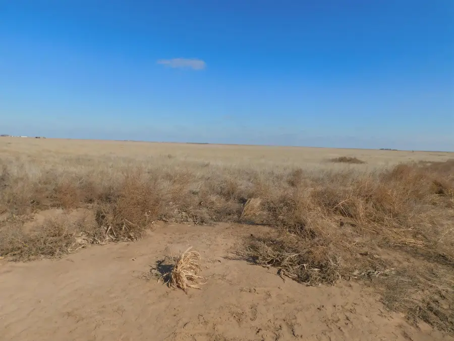 SW 1/4 13-6N-13 SW Texas County, Guymon, OK 73942 - Image #2