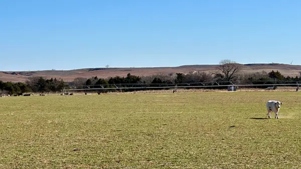 0000 N 2210 Road, Taloga, OK 73667