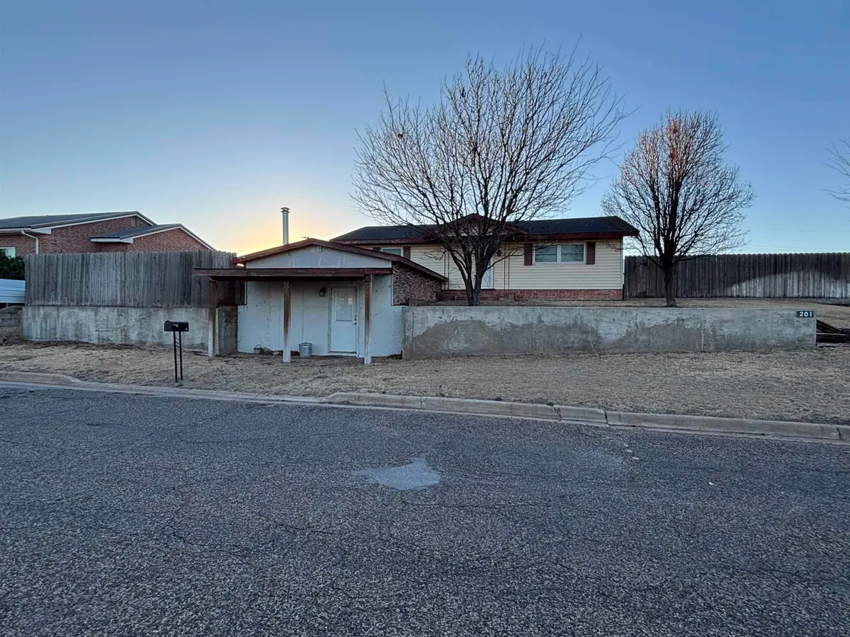 201 Avenue J, Beaver, OK 73932 - #1