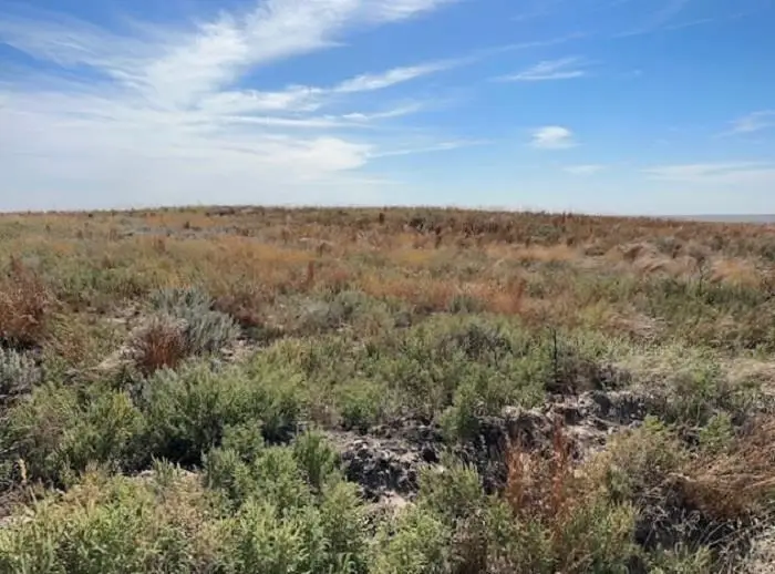 Highway 64 & CR 44, Gage, OK 73843-0000 - #1