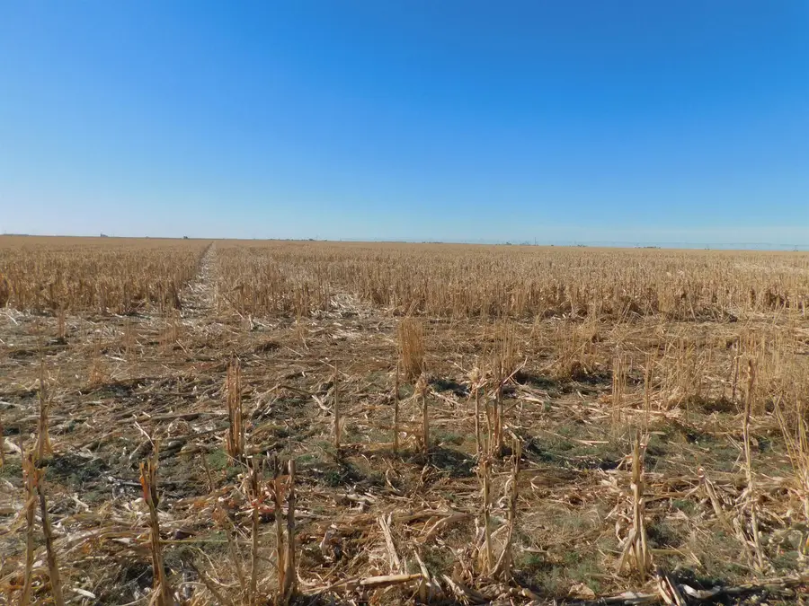 412 & 207 E Hwy 207 & Hwy 412, Guymon, OK 73942 - #3