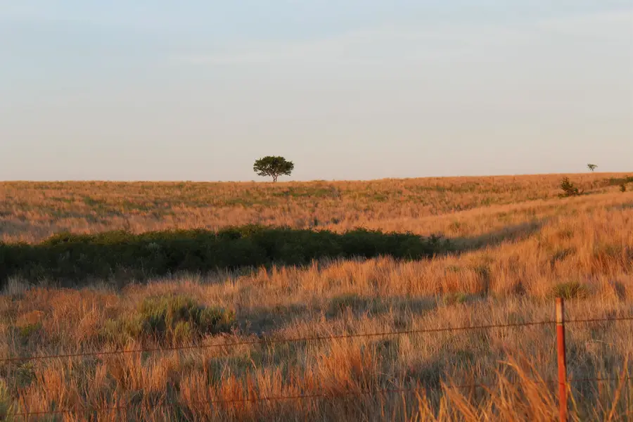 N CR 176, Gage, OK 73843-0000 - #2