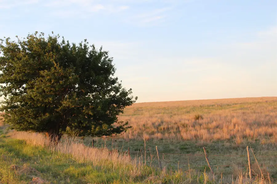 N CR 176, Gage, OK 73843-0000 - #3