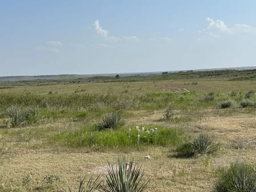 E County Road 48, Shattuck, OK 73858 - #3