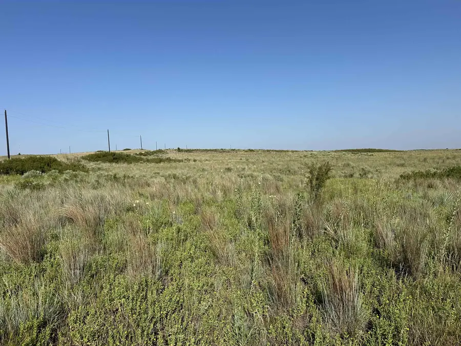 E County Road 48, Shattuck, OK 73858 - #2