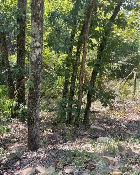 #3