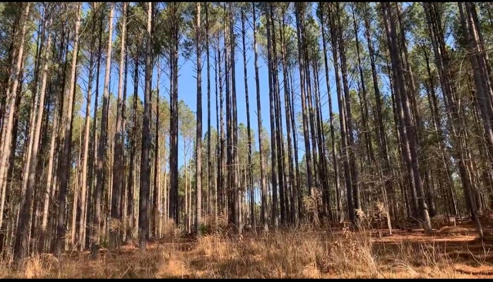 18 Lucian Sorrel Road, Broken Bow, OK 74728 ERA