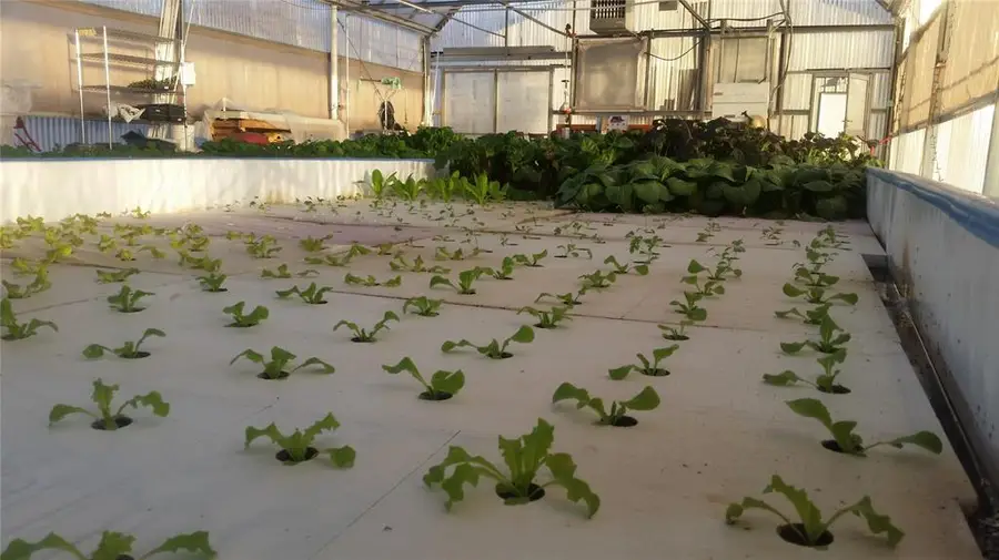 1501 E Tecumseh Road, Norman, OK 73071 - Image #2